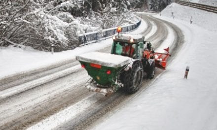 The Impact On Stream Health By Road Salt and Stream Health