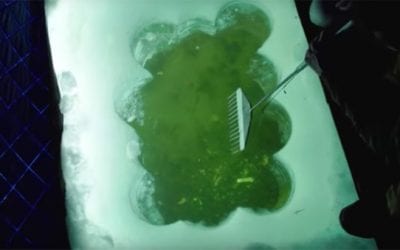 The Meateater Goes Spearfishing in Alaska