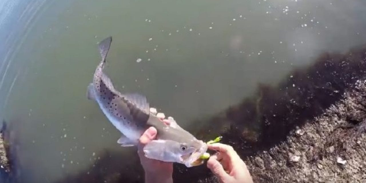 The Most Frustrating Thing You Can Do to Another Fisherman