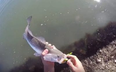 The Most Frustrating Thing You Can Do to Another Fisherman