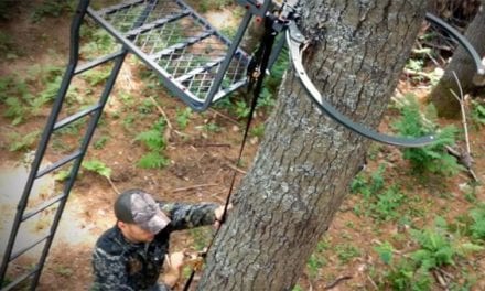 Tree Stand Buddy Acquires Skyline Safety System