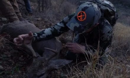 Video: LunkersTV Shows Just How Tough Hunting for Coues Deer Really Is