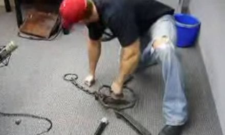 Video: Man Punches a Bear Trap