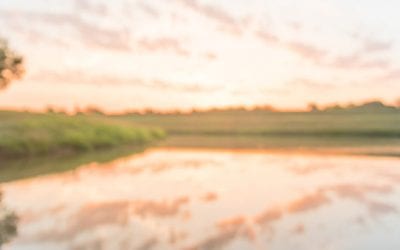 What State is the Number 1 Outdoorsman Mecca in the U.S.?