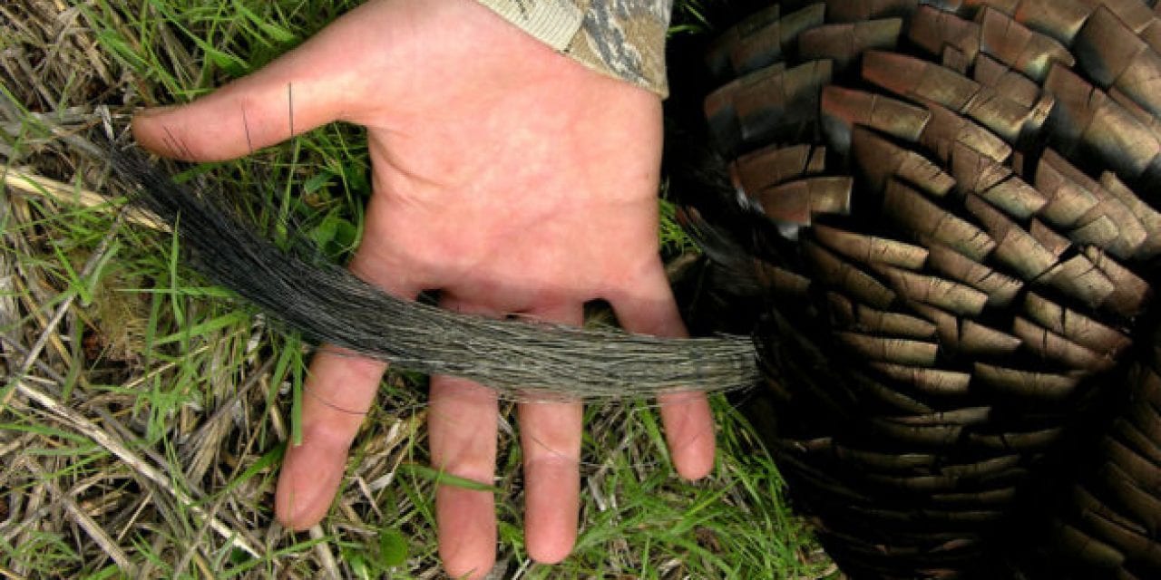 10 Signs You’re Addicted to Turkey Hunting