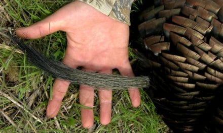 10 Signs You’re Addicted to Turkey Hunting