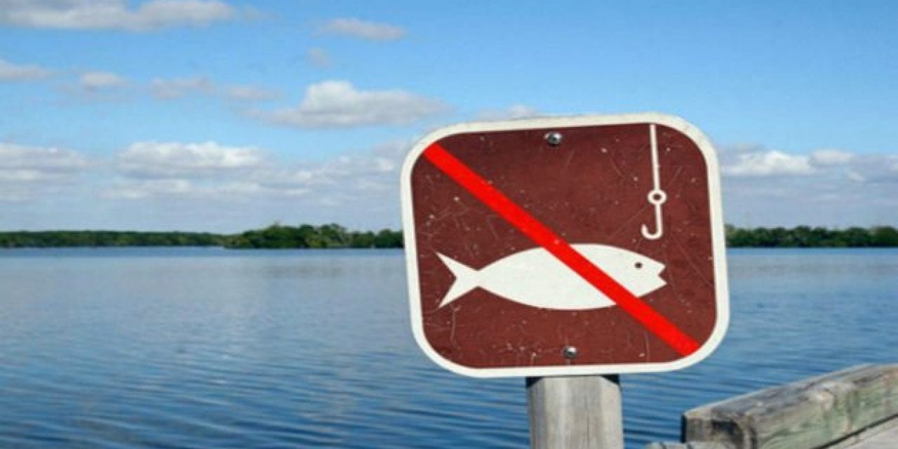 10 Weirdest Fishing Laws You Didn’t Know About