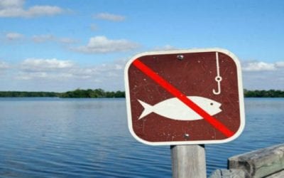 10 Weirdest Fishing Laws You Didn’t Know About
