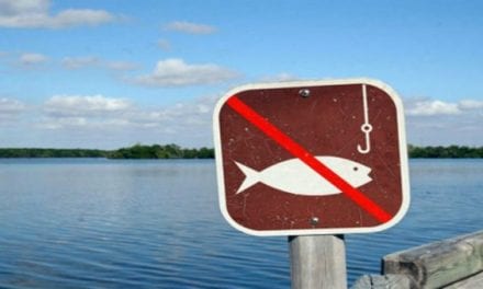 10 Weirdest Fishing Laws You Didn’t Know About