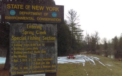 5 Unexpected Places to Catch a Fish in the Winter