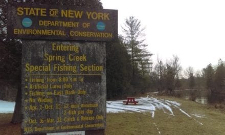 5 Unexpected Places to Catch a Fish in the Winter