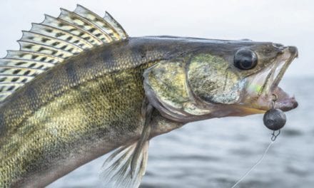 $50,000 is Swimming in an Idaho Lake