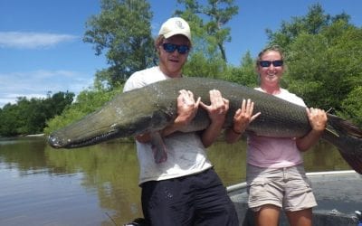 Alligator Gar Regulations Officially Proposed for Texas, Don’t Get Caught in the Crosshairs
