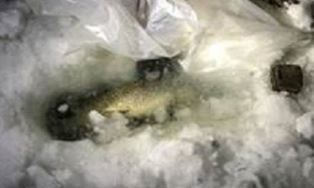 Cheating Ice Angler Thwarted By DEC Officers
