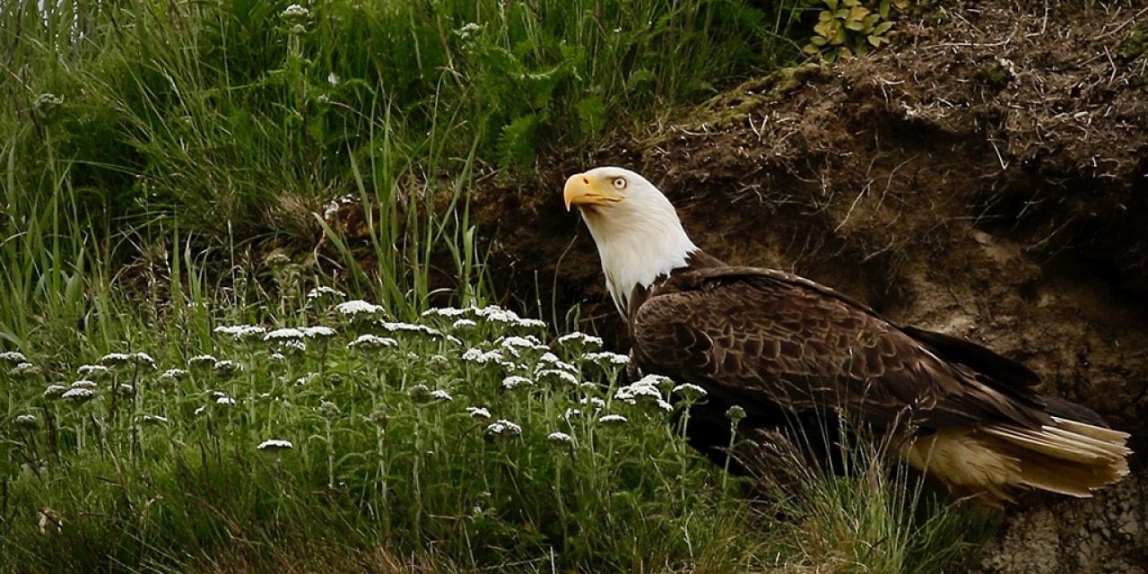 Discovery Landscape Photography Assignment Winner Cindy Upchurch