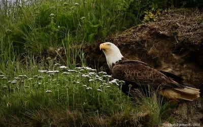 Discovery Landscape Photography Assignment Winner Cindy Upchurch