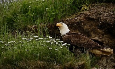 Discovery Landscape Photography Assignment Winner Cindy Upchurch