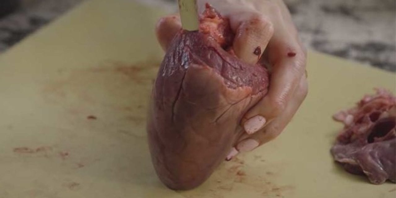 How to Clean a Deer Heart