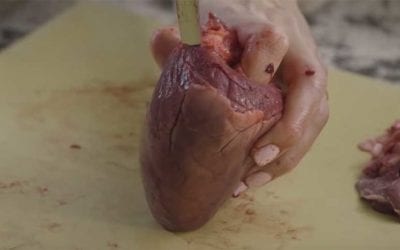 How to Clean a Deer Heart