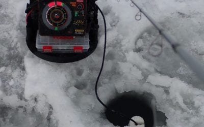 I’m Not Kidding This Time, Now It Really Is Mid-Winter