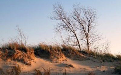Indiana Dunes Is The Newest National Park