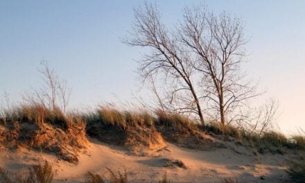 Indiana Dunes Is The Newest National Park