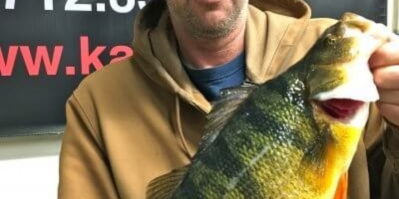 IowaSportsman.com Reported It 1st – New Record Perch