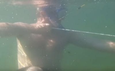 Is Underwater Bowfishing Even Possible? This Video Proves It Is