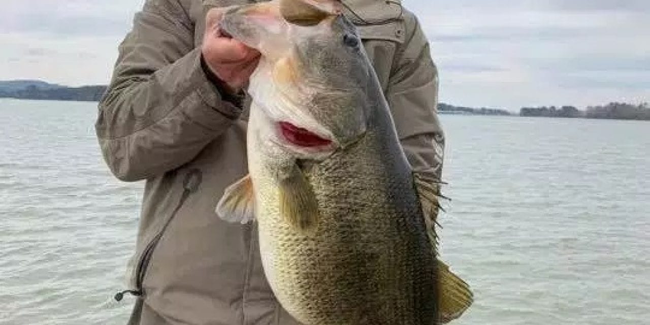 “LAKE RECORD” Announces To Record Catches – 1 Largemouth and 1 Smallmouth