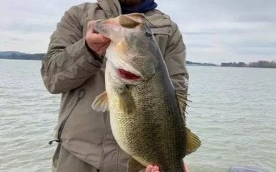 “LAKE RECORD” Announces To Record Catches – 1 Largemouth and 1 Smallmouth
