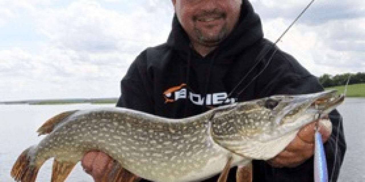 Lindy: Top Spring Pike Tactics