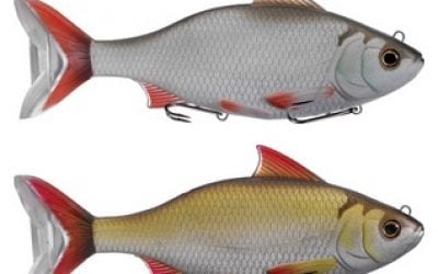 LIVETARGET Reveals Ultra-Realistic Rudd Swimbait
