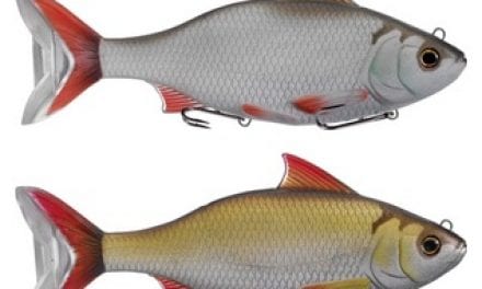 LIVETARGET Reveals Ultra-Realistic Rudd Swimbait