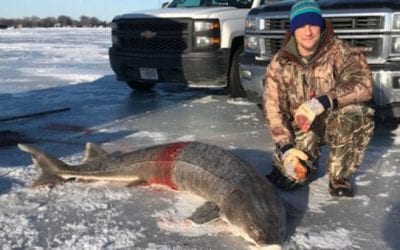 Longest Sturgeon Ever Taken on Lake Winnebago Sets Wisconsin Record