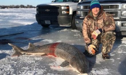 Longest Sturgeon Ever Taken on Lake Winnebago Sets Wisconsin Record