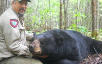 Maine Hunters Hoping to Reestablish Spring Bear Hunting Season