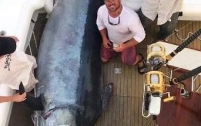 Massive 649kg Marlin’s Story