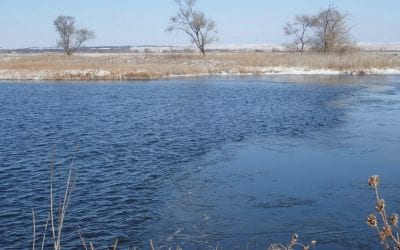 Mid-Winter Ice Fishing Report Card