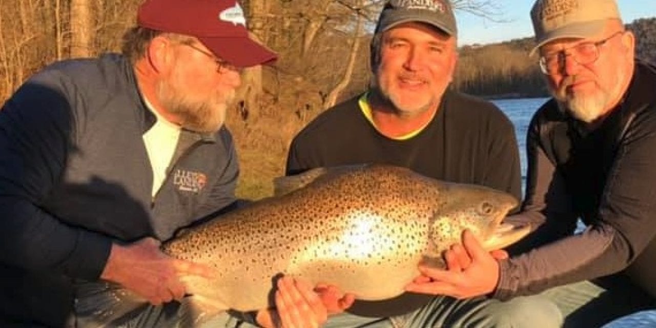 Missouri Has A New Record Brown Trout For Sure – Beats Past Record By Pounds (Video Links)