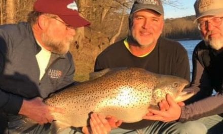 Missouri Has A New Record Brown Trout For Sure – Beats Past Record By Pounds (Video Links)