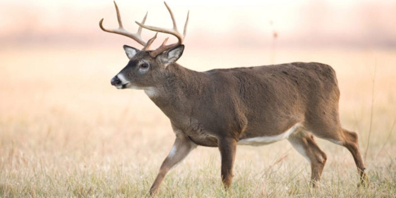 New Kansas Bill Would Allow Landowners to Sell Permits to Nonresident Hunters