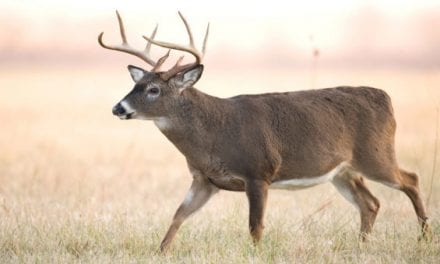 New Kansas Bill Would Allow Landowners to Sell Permits to Nonresident Hunters