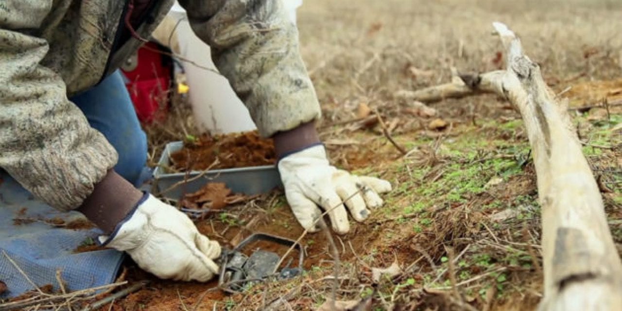 New Mexico Democrat Pushes Bill to Outlaw Trapping on Public Land