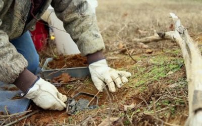 New Mexico Democrat Pushes Bill to Outlaw Trapping on Public Land