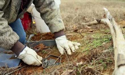 New Mexico Democrat Pushes Bill to Outlaw Trapping on Public Land