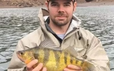New West Virginia Record Yellow Perch
