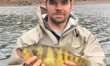 New West Virginia Record Yellow Perch