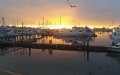 NOAA Announces a New Partnership with Leading Recreational Fishing Organizations