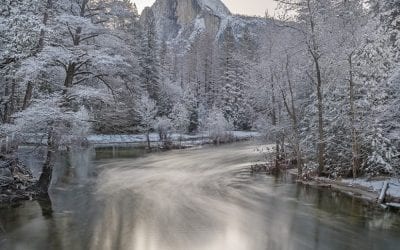 Photo Of The Day By Franka M. Gabler