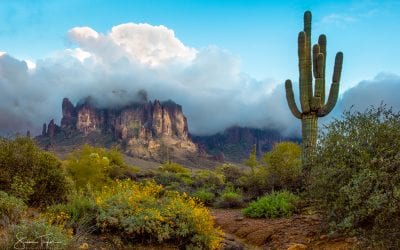 Photo Of The Day By Susan Taylor